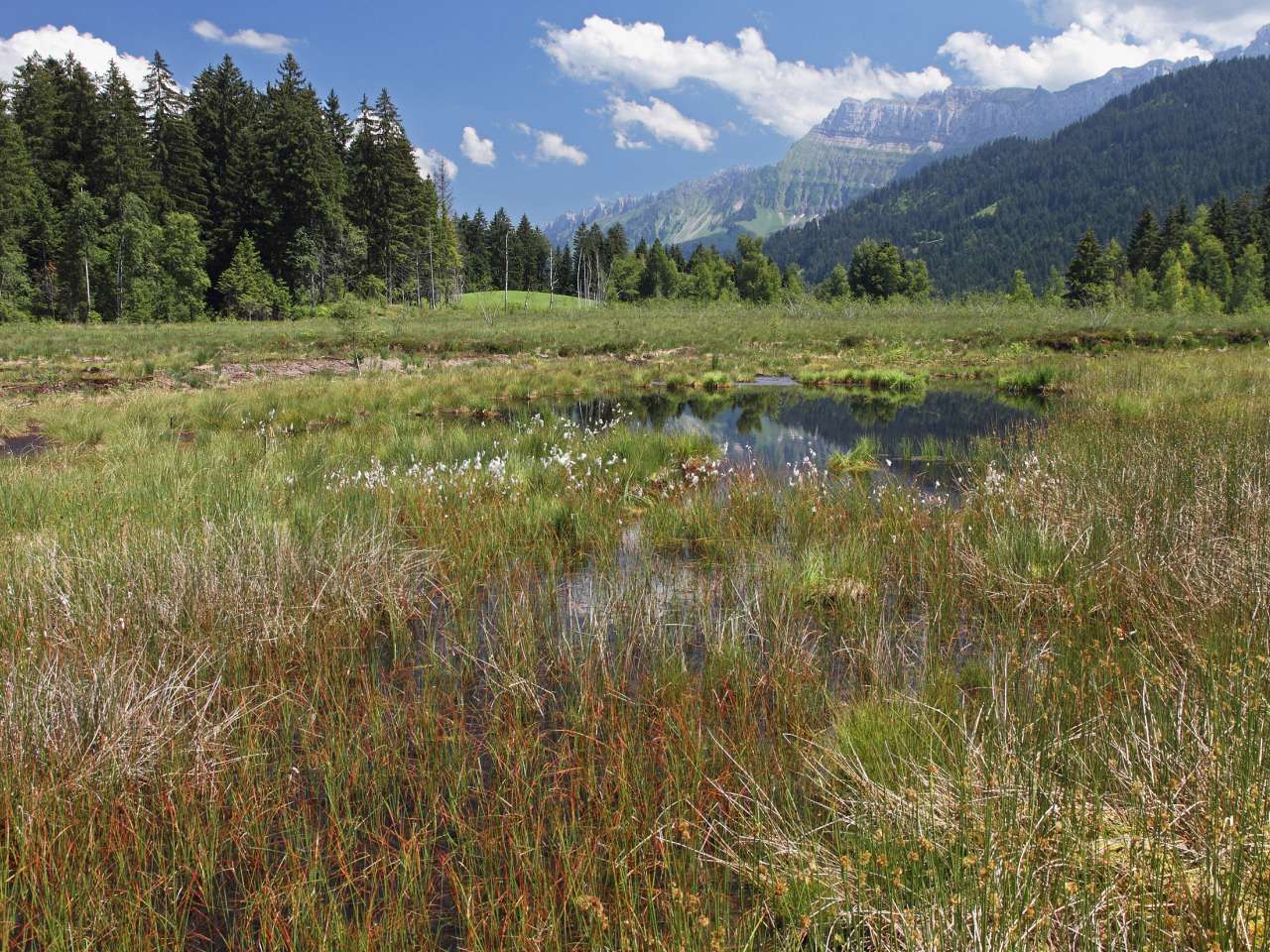 Mystisches Moor und eine magische Schlucht