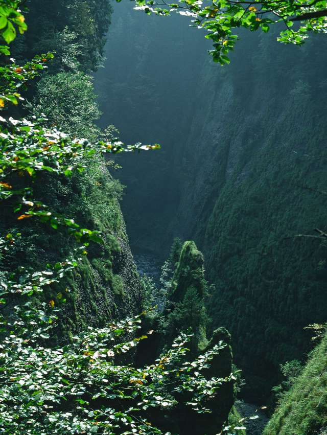 Naturhighlights Pro Natura