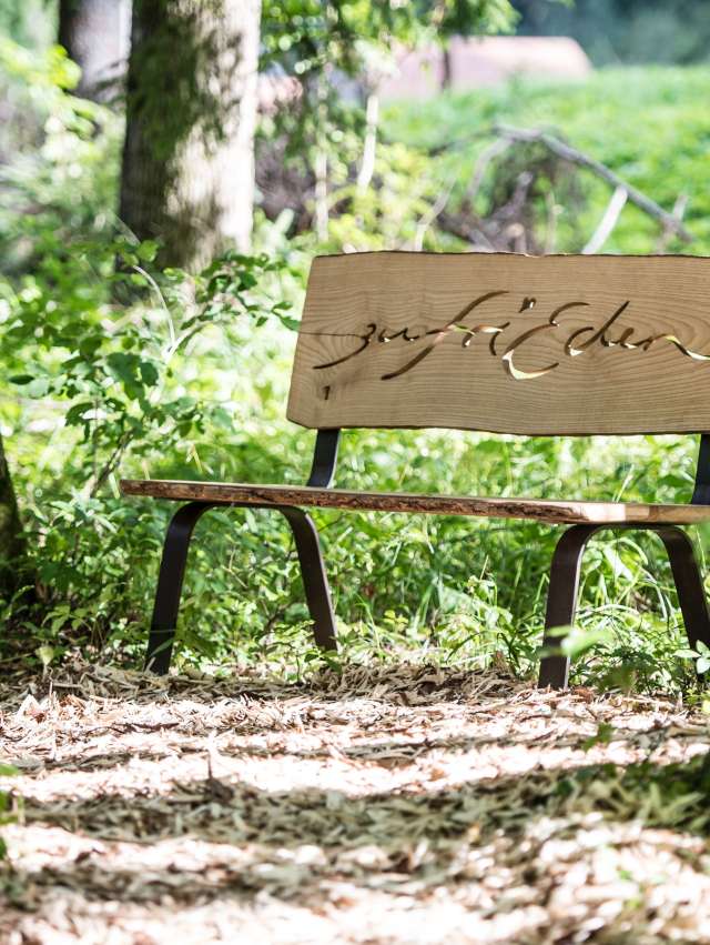 Annas geheimes Tagebuch