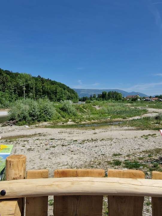 Waldwanderung Lebensraum Emme