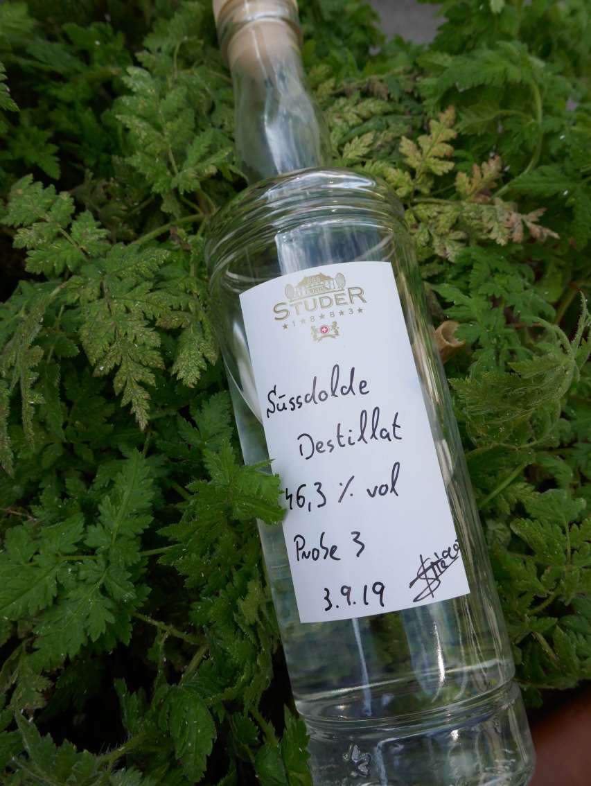 Medienbericht zum Chörblichrut