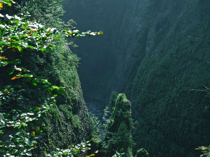 Naturhighlights Pro Natura