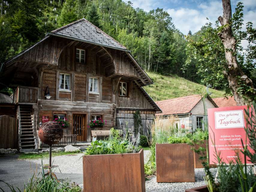 Anna geheimes Tagebuch