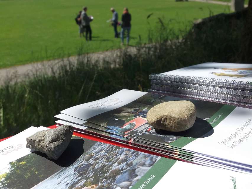 Medienspiegel zu den ersten Angeboten