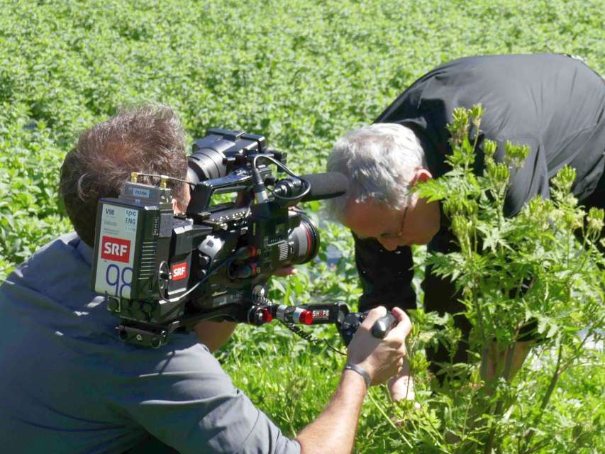 Perle Chörblichrut in SRF DOK-Film