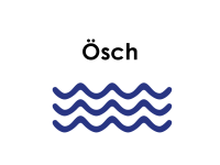 Ösch