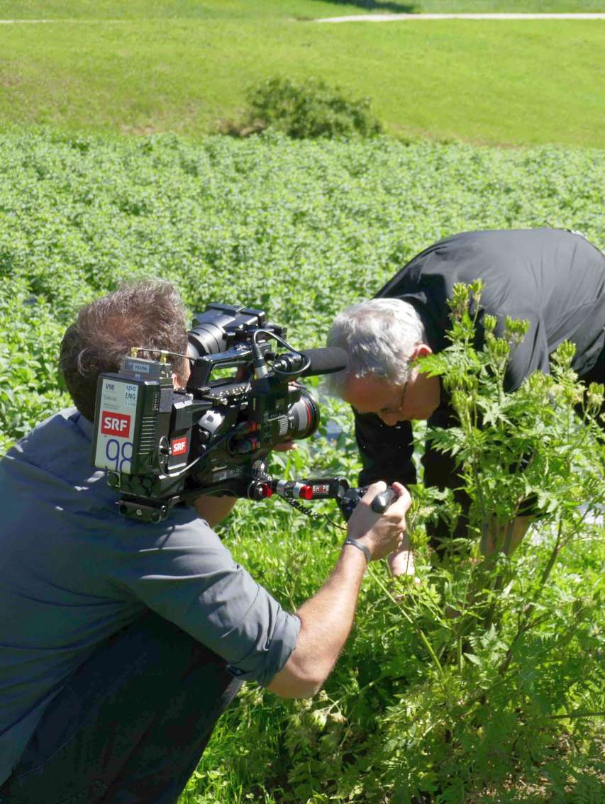 Perle Chörblichrut in SRF DOK-Film