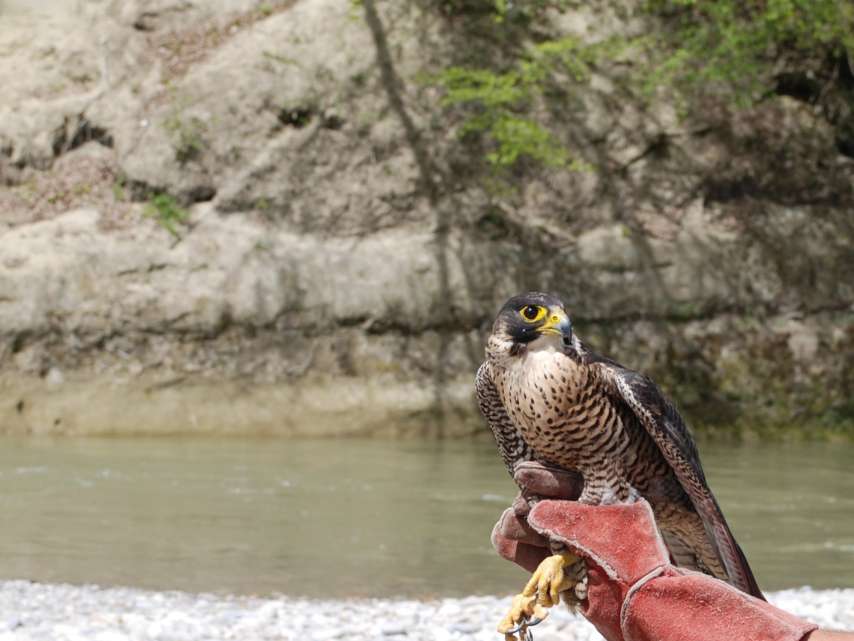 Exkursion "Wilde Emme"